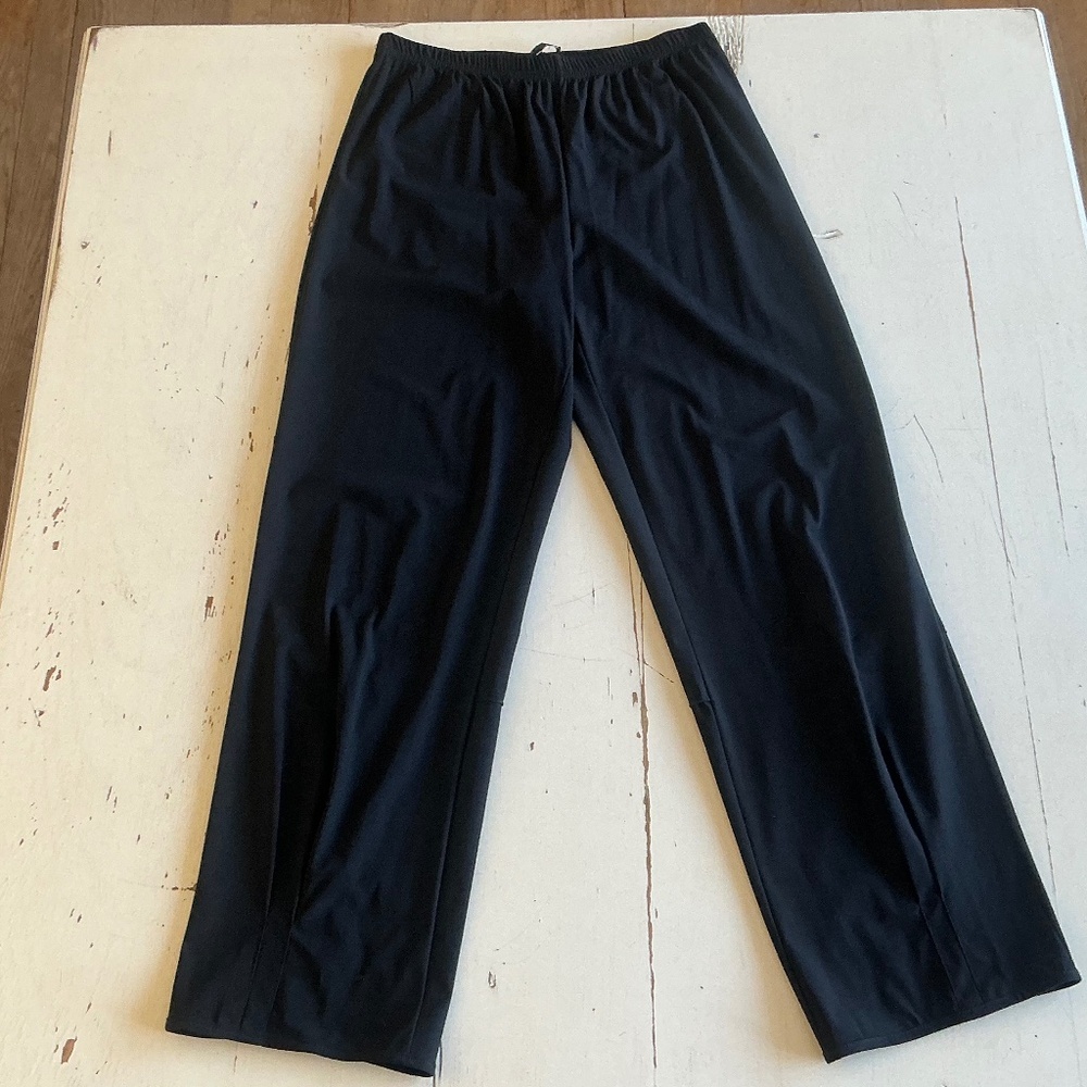 FA Concept Paris Black Cropped Elastic Waist Pants Small?
